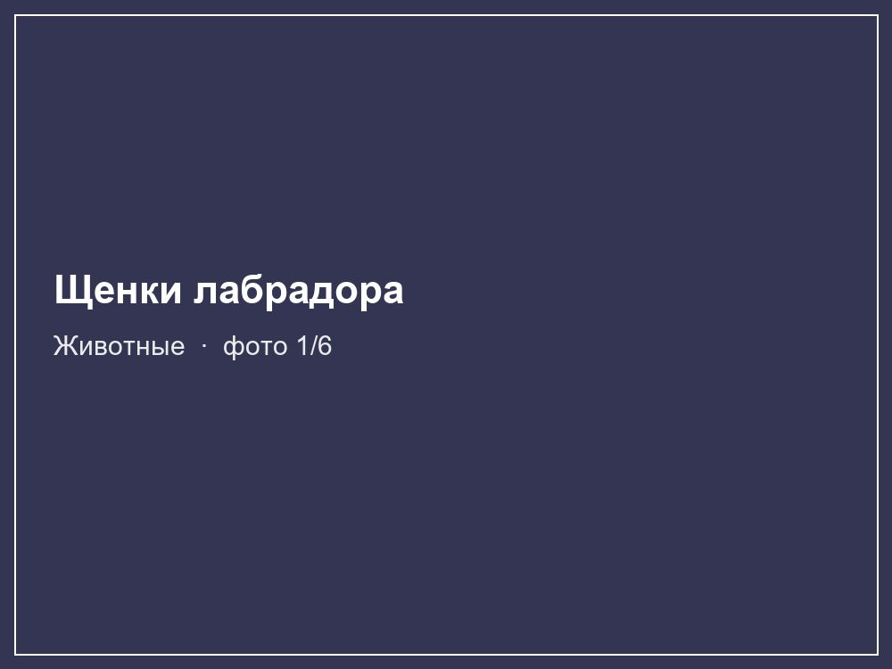 Щенки лабрадора
